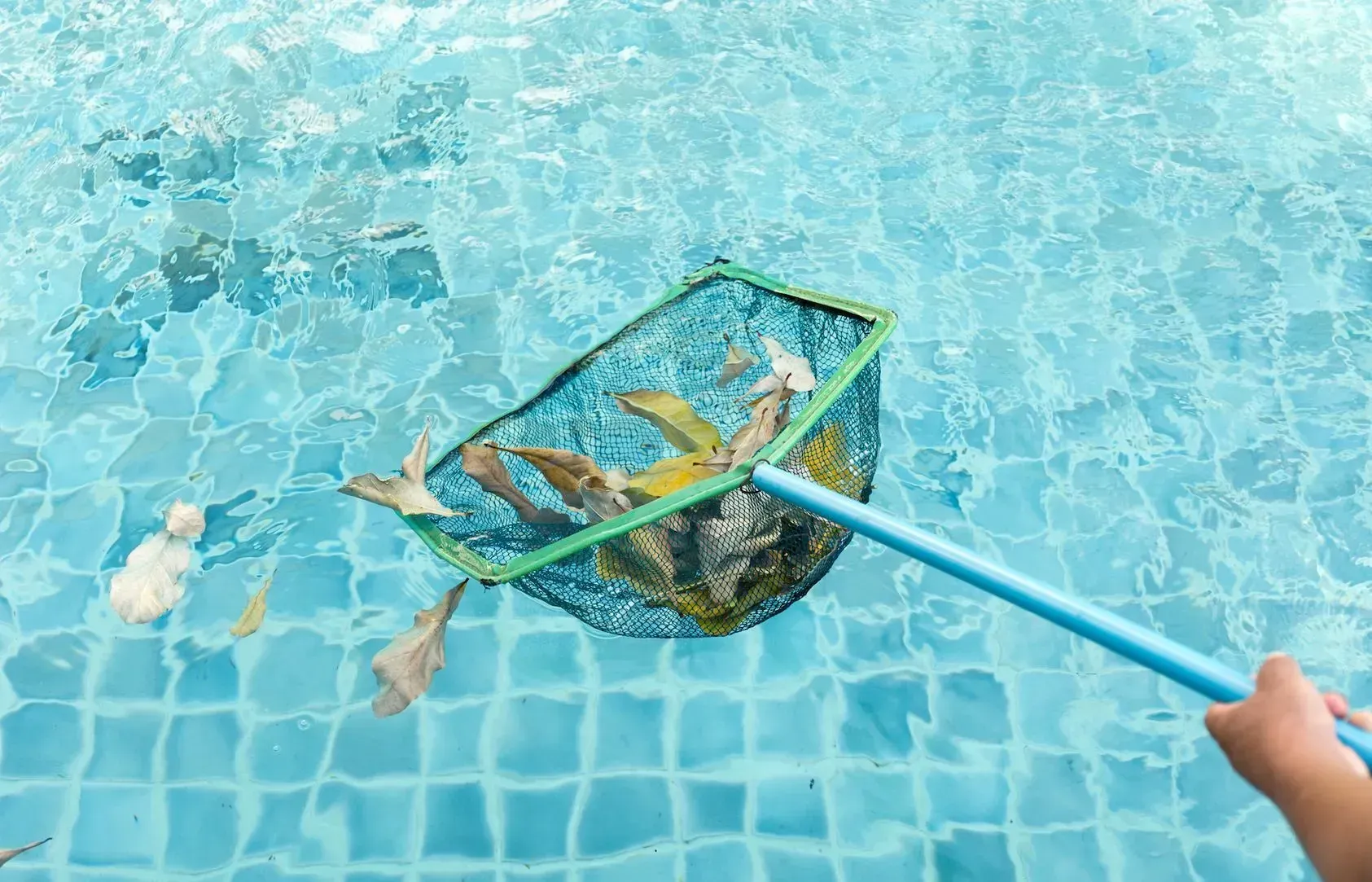 Pool Cleaning  image