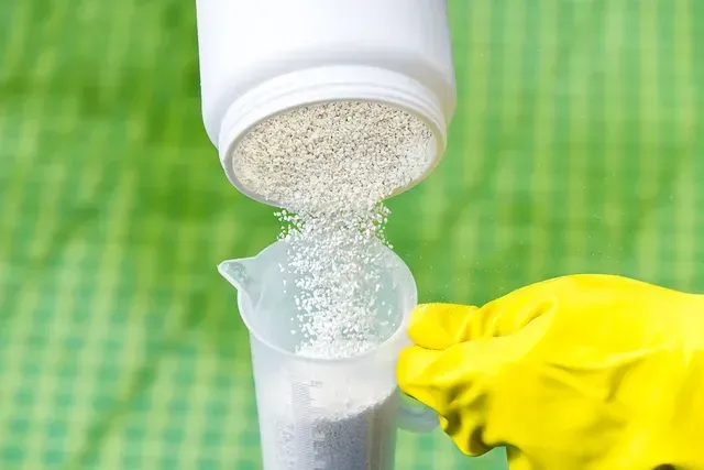 Green Pool Cleaning Image