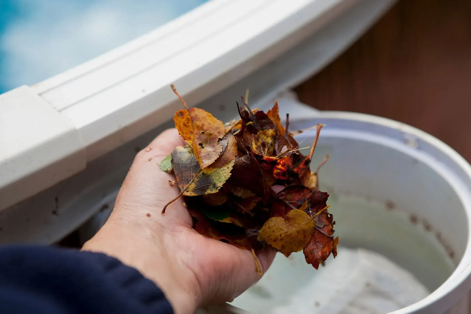 Pool Filter Cleaning Image