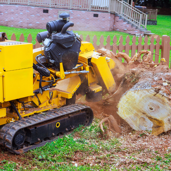 Yellow tracked stump grinder cutting a large tree stump in a backyard, throwing debris.