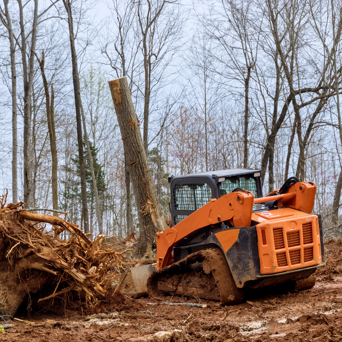 Orange skid steer clearing muddy debris in a leafless wooded area