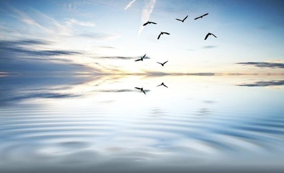 Paesaggio acquatico