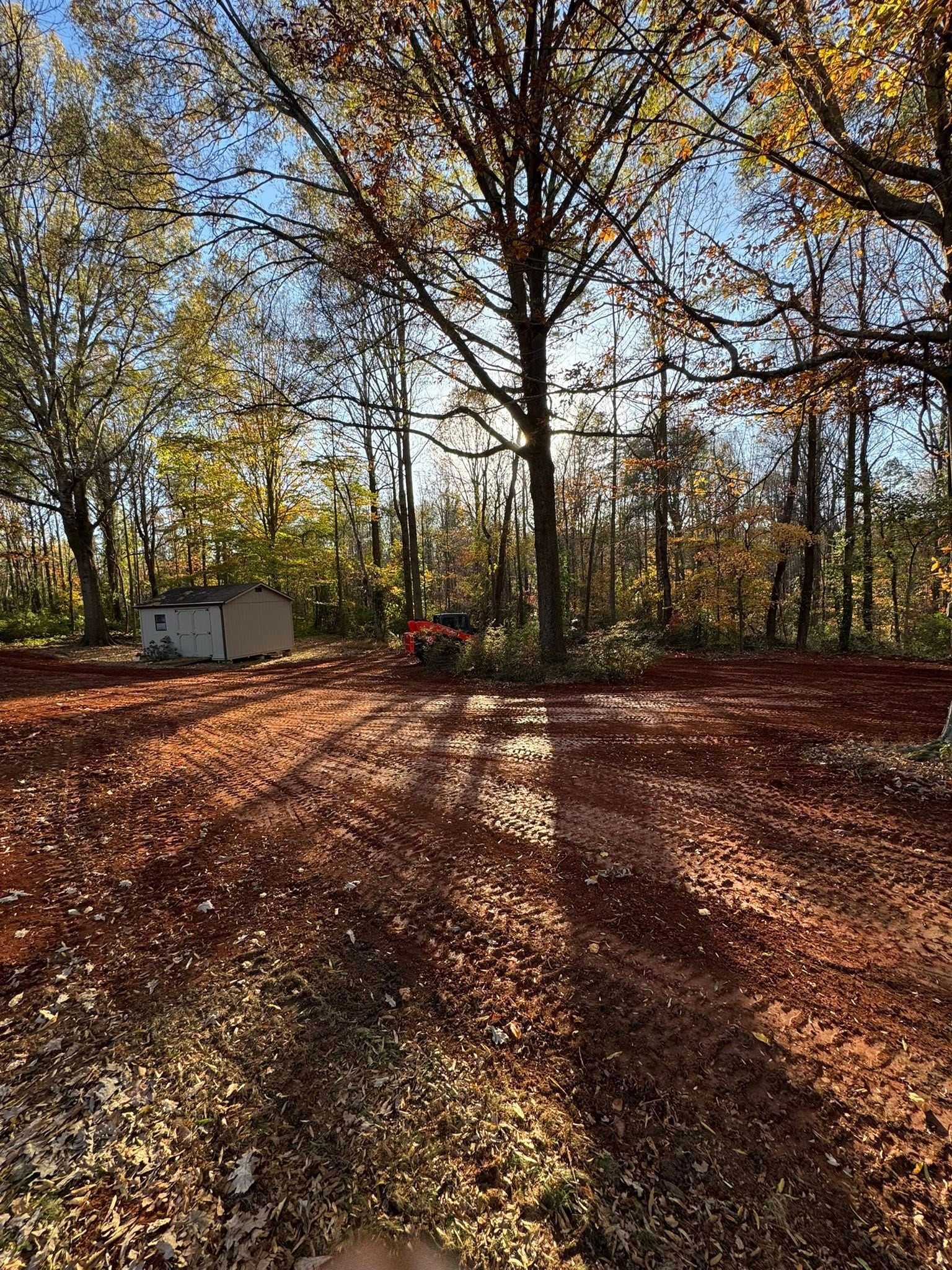 Sunlit autumn woods with a leaf-covered clearing, tall trees, and a small shed in the background