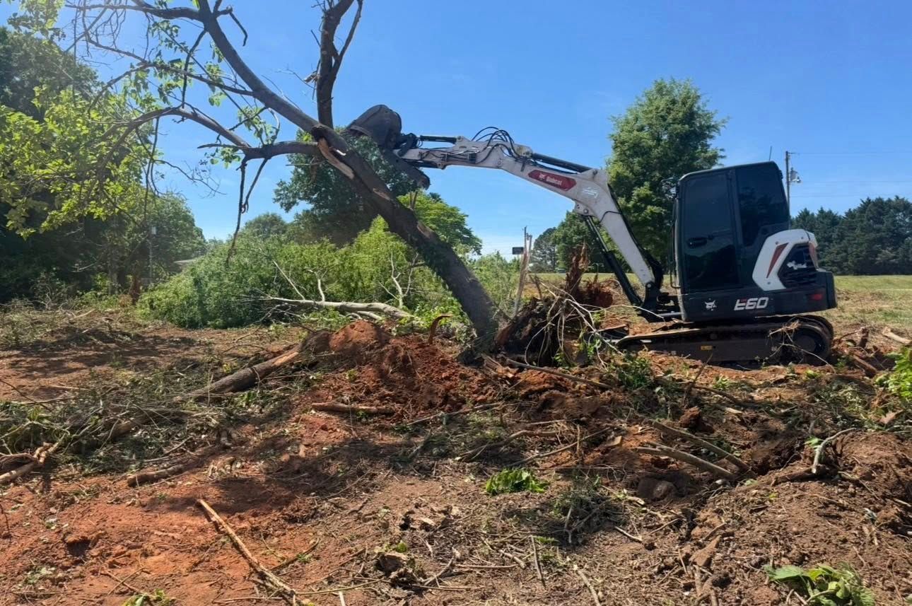 Excavator clearing brush on a sunny hillside with trees and blue sky