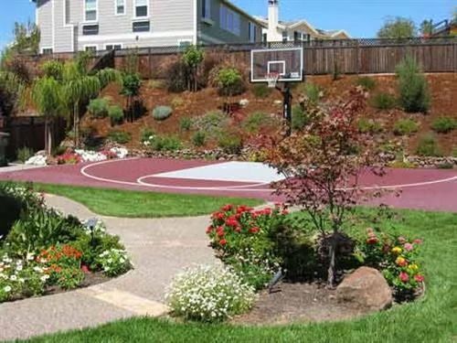Backyard basketball court with landscaped garden beds and shrubs in the foreground