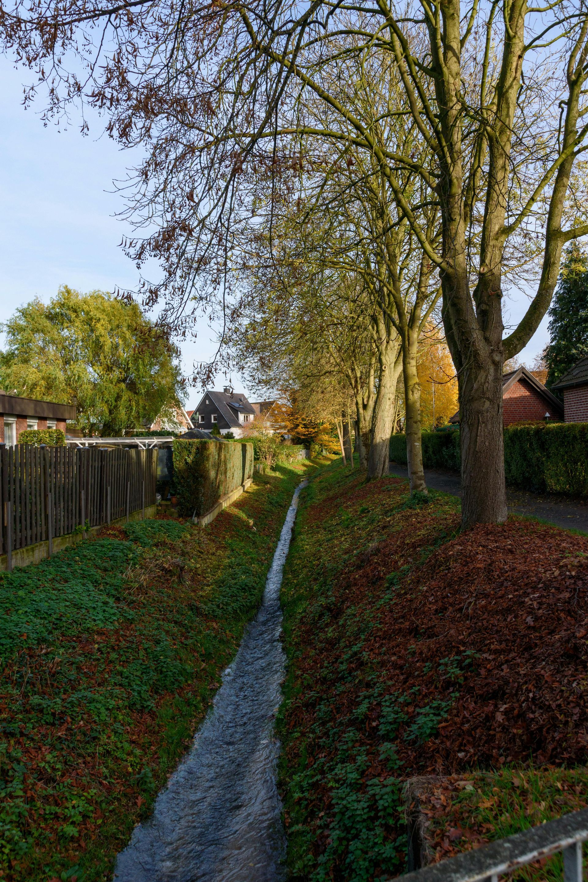 A narrow stream flows between grassy banks lined with trees, fallen autumn leaves, and a fence on a sunny day.