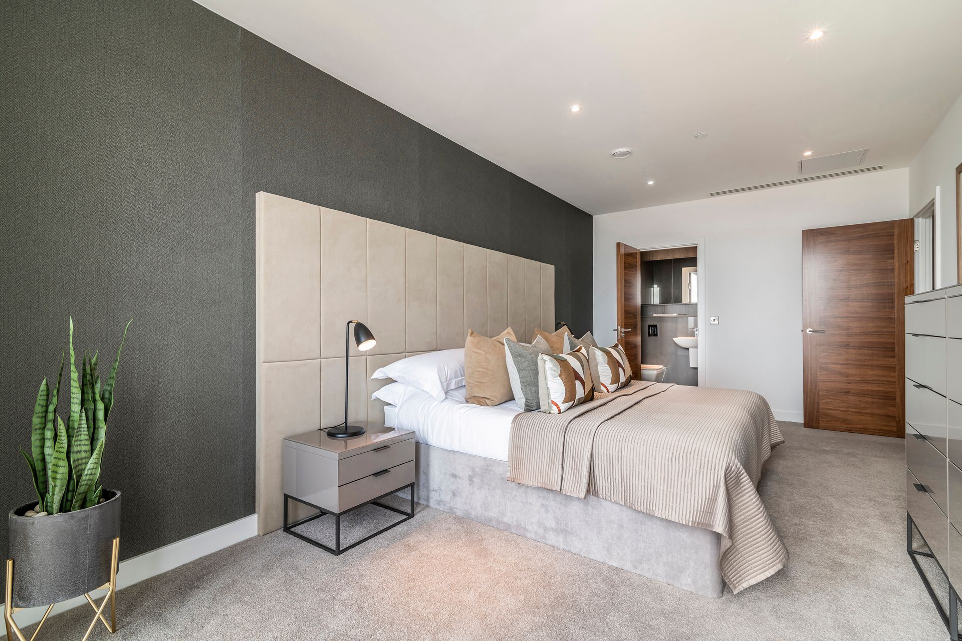 Bedroom with gray textured wall, bed, and ensuite bathroom doorway. Plant on the left.