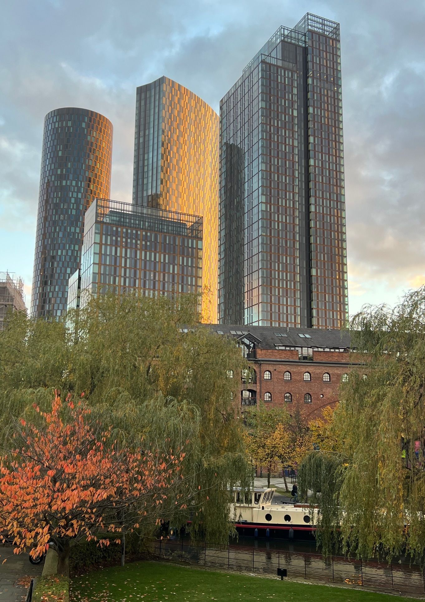 Tall city buildings behind autumn trees; Manchester, UK.