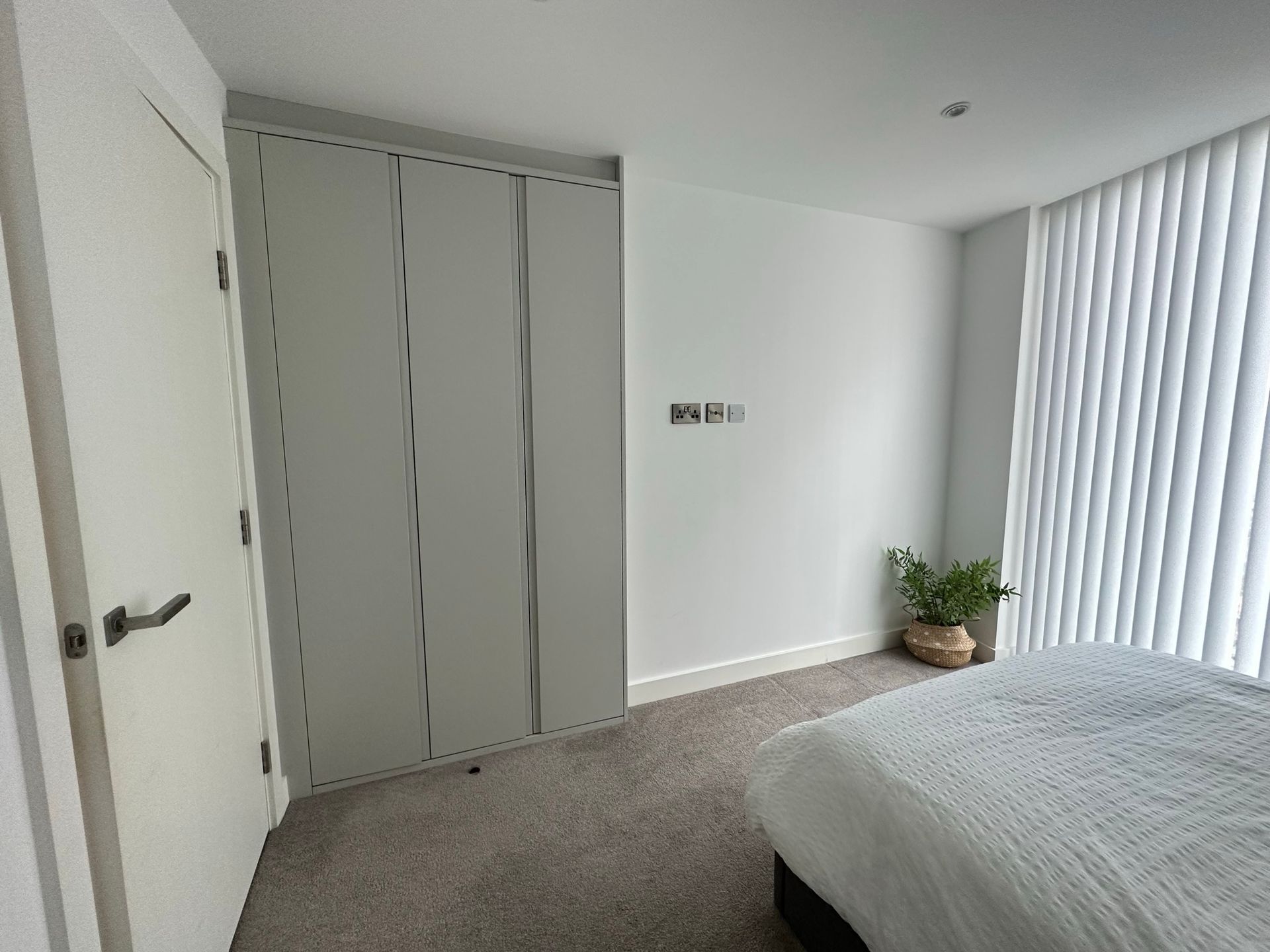 Bedroom interior: white walls, closet and door. Gray carpet, bed, window with blinds, and plant.