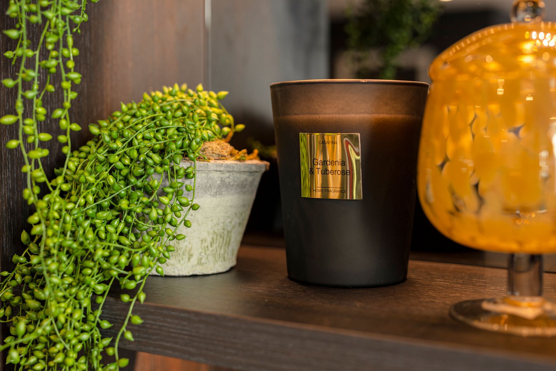 Shelf with a hanging plant, a candle in a black glass, and a decorative gold glass.