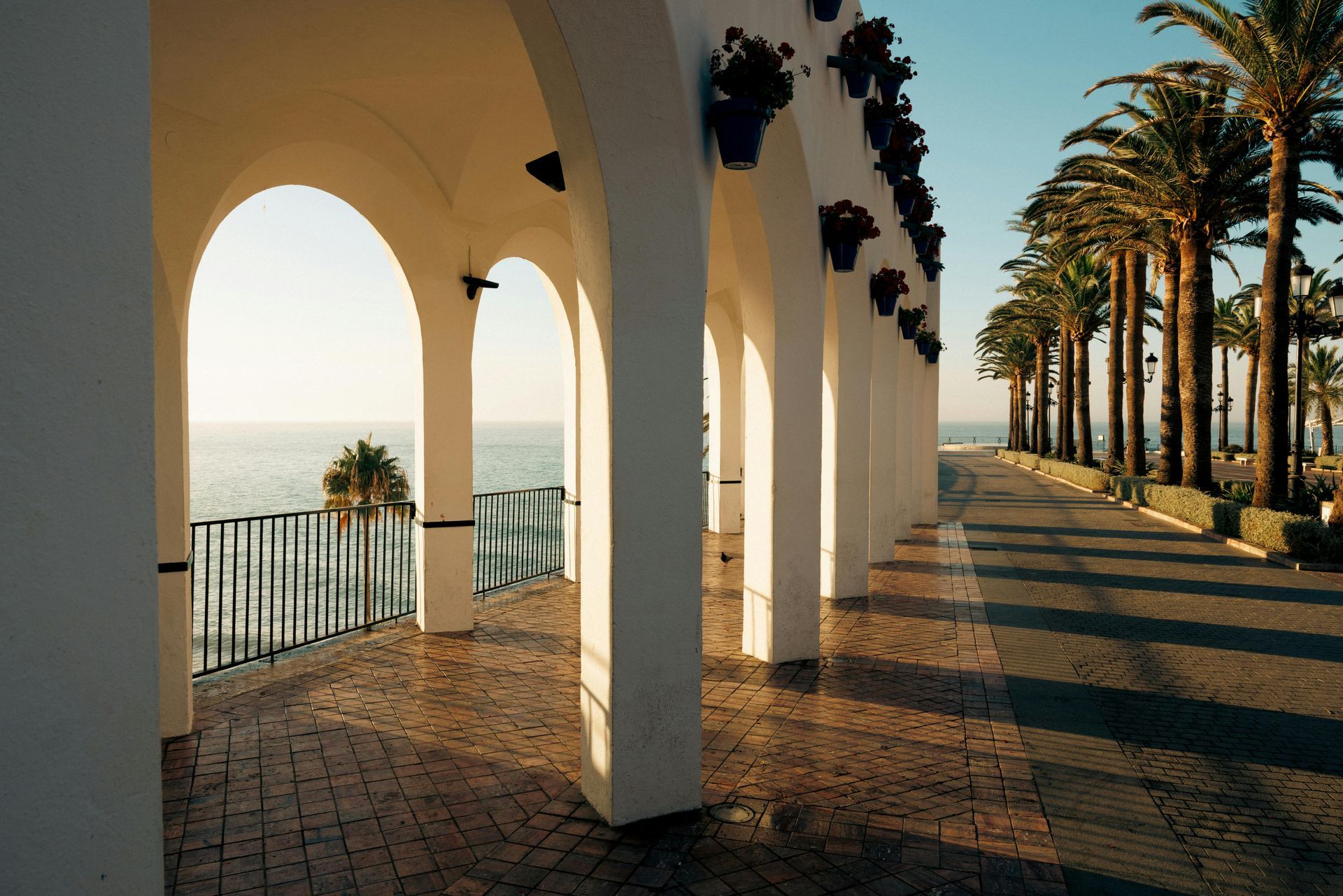 White arched walkway with ocean view, lined with palm trees.