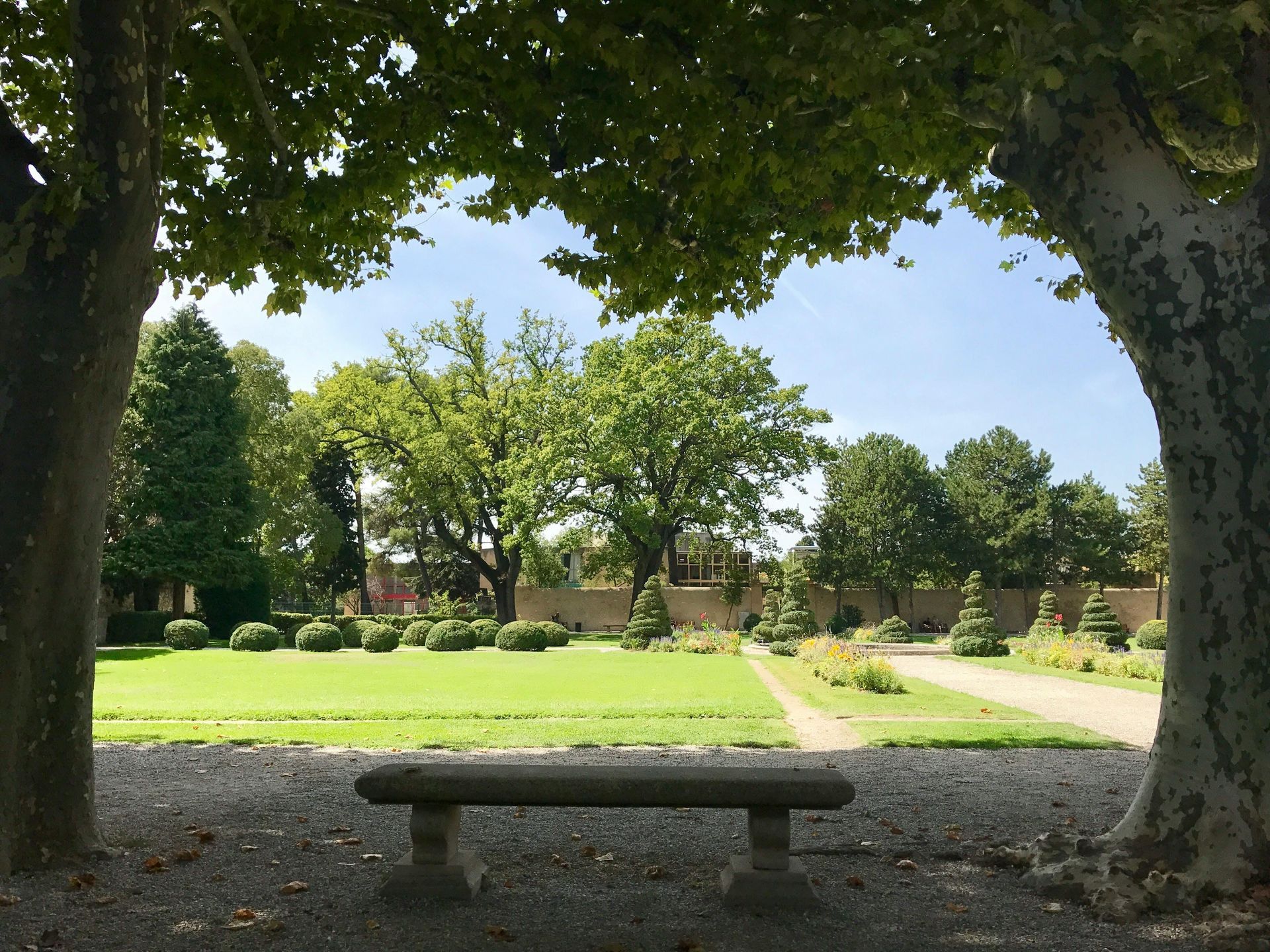 Stone bench under trees overlooking a grassy park, a bright sunny day.