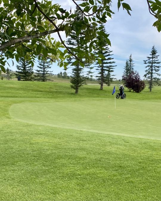 Green golf course, small vehicle with person near the flag, trees and blue sky background.