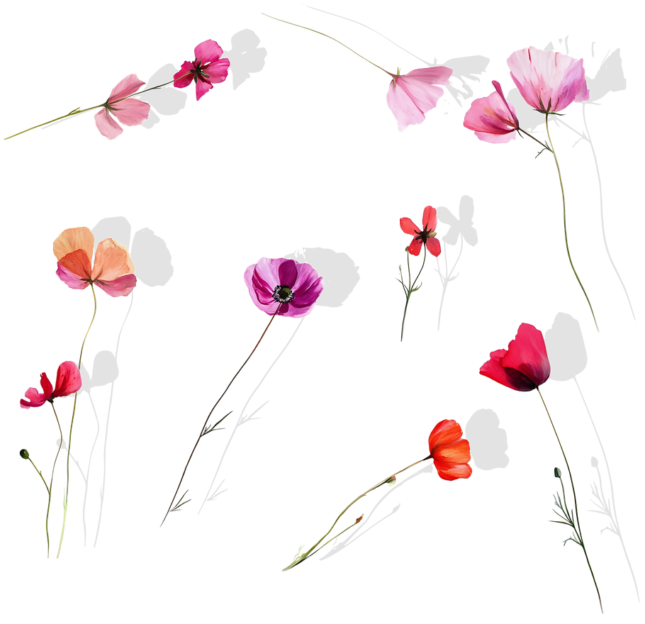 Flowers cutout