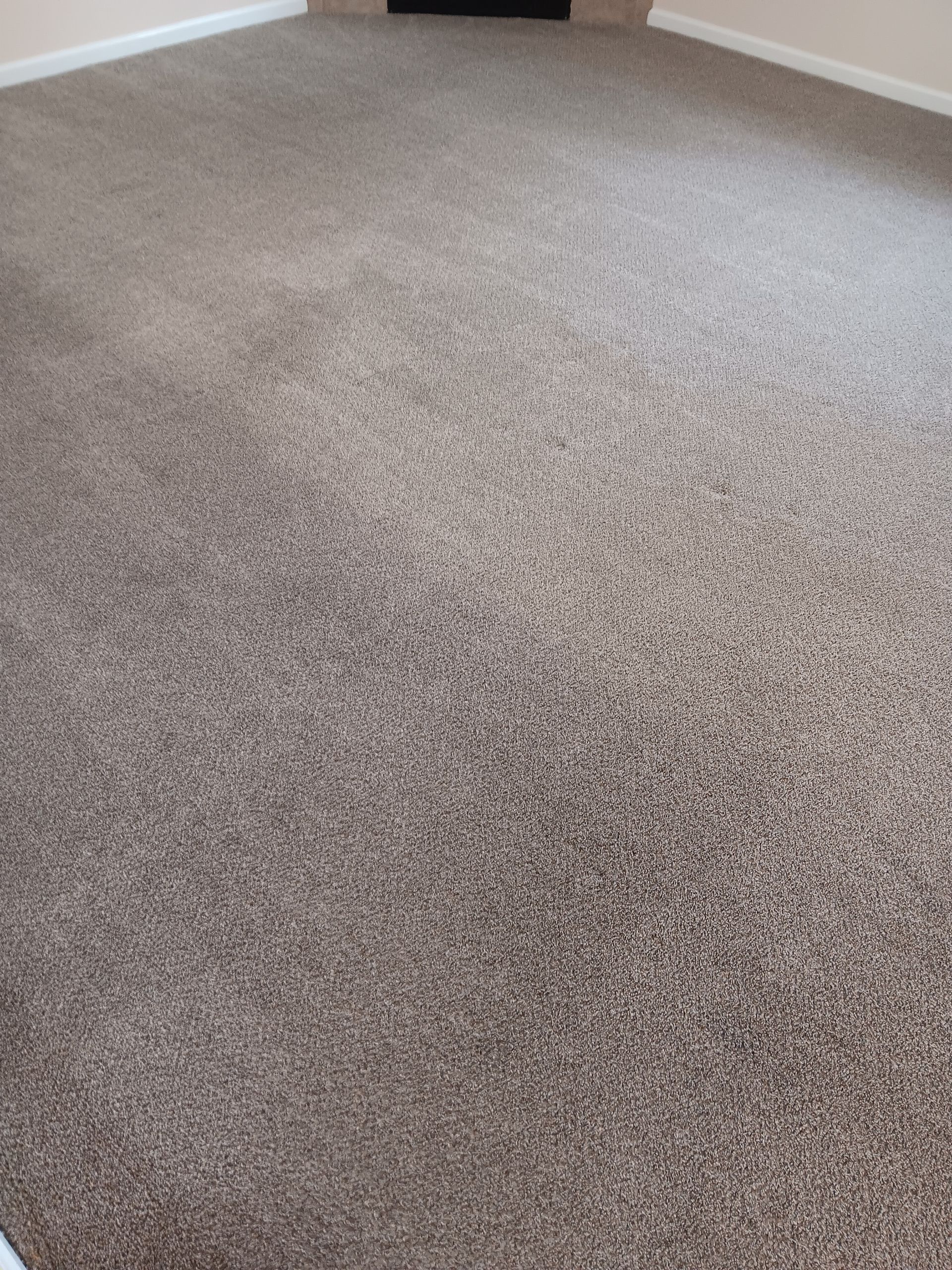 Brown speckled carpet fills the view of a room, with a dark area near the top.