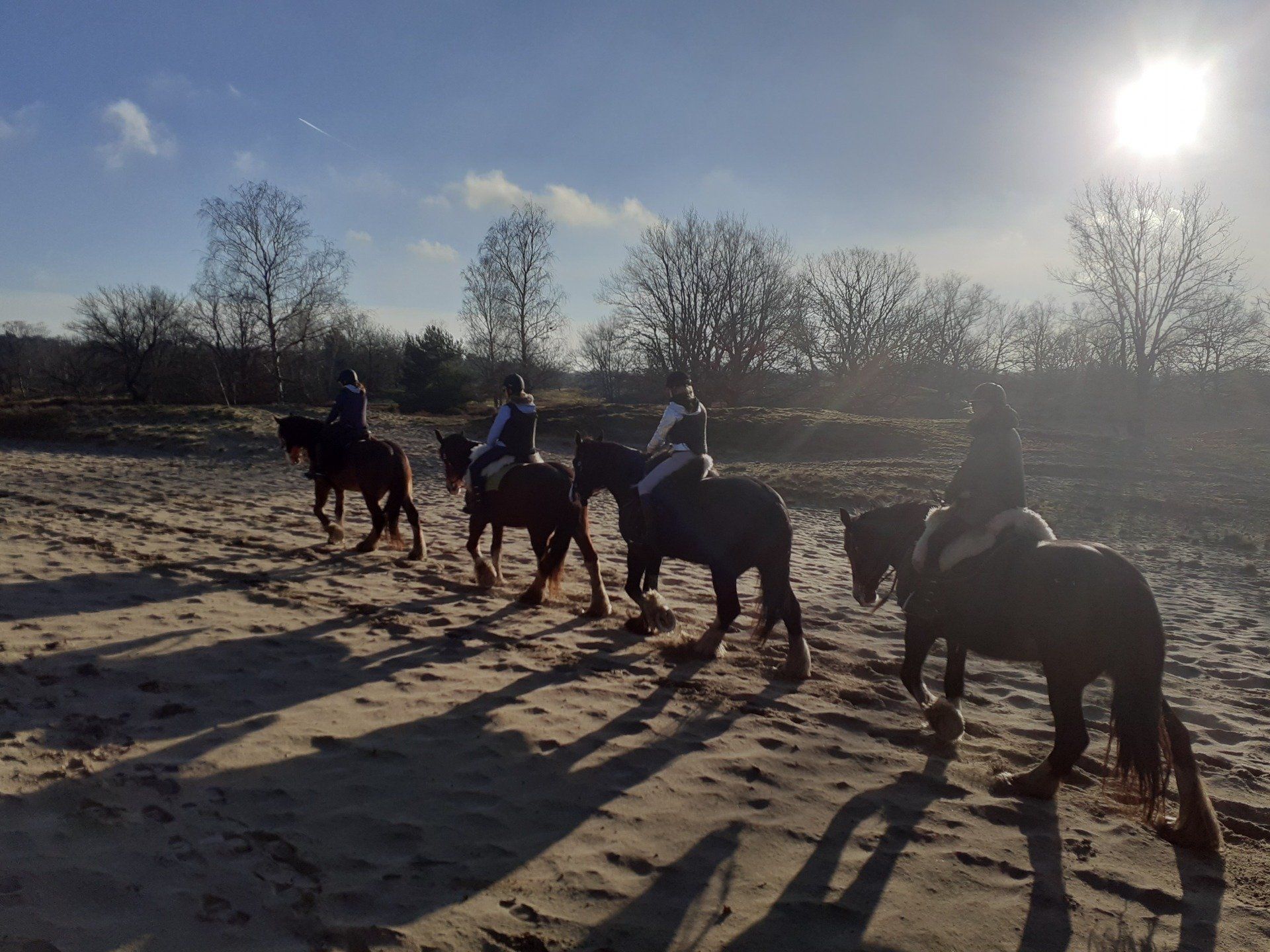 Vier mensen te paard, rijdend over een zandpad met de zon boven hun hoofd.