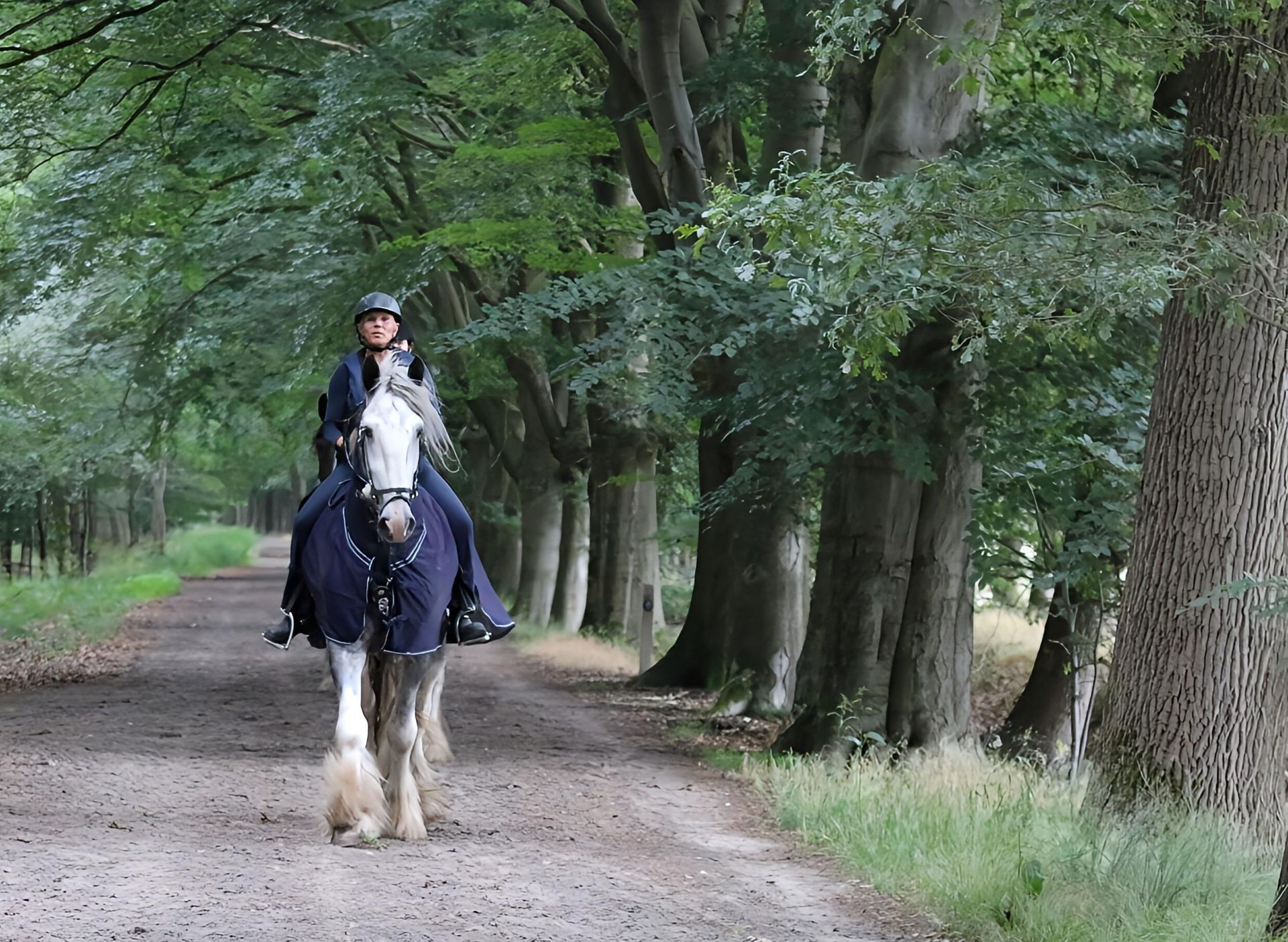 Een persoon rijdt op een grijs paard over een zandpad omzoomd met bomen. Het paard draagt ​​een blauwe deken.