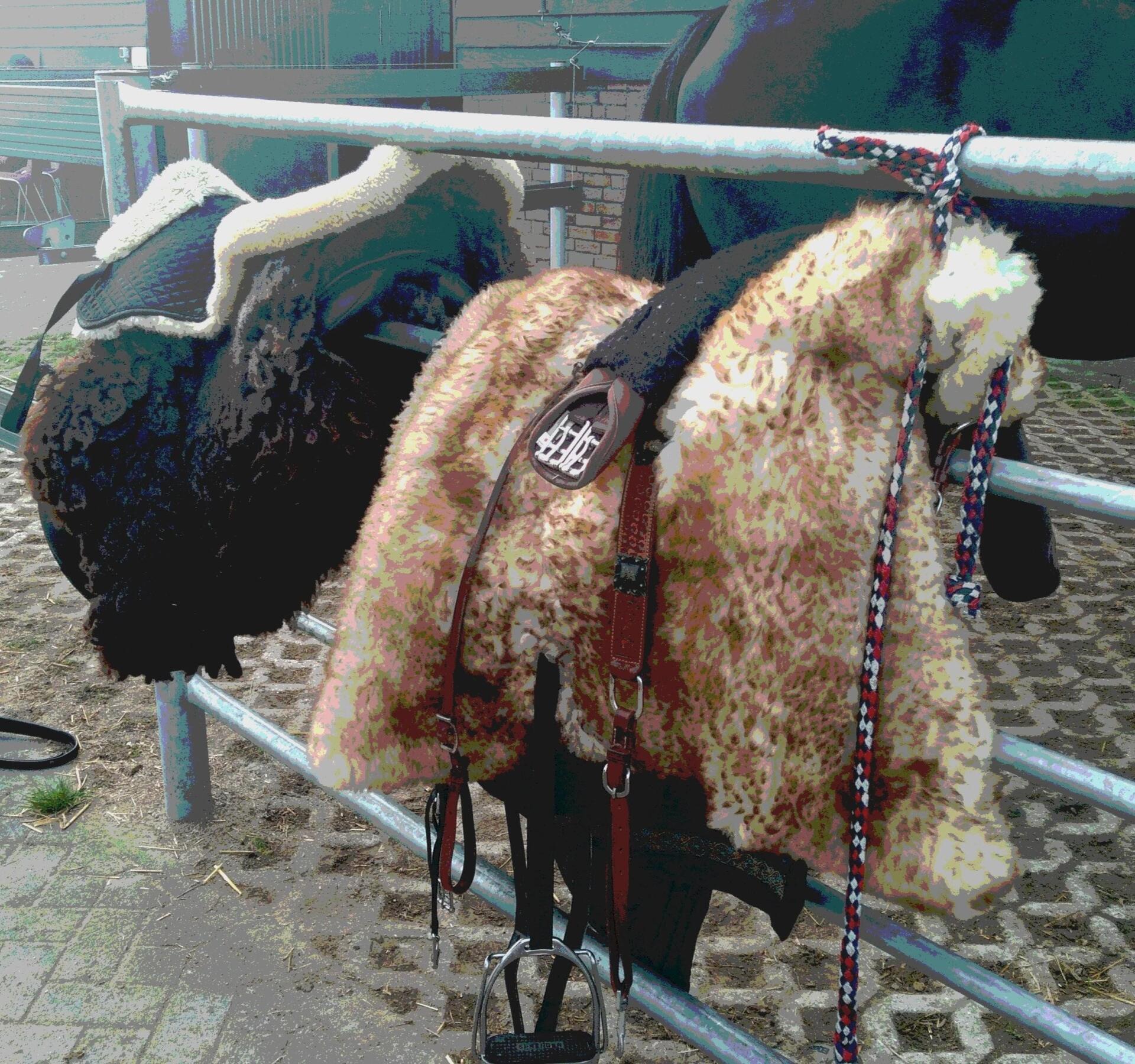 Twee zadels met zachte kussens hangen aan een metalen hek, buiten.
