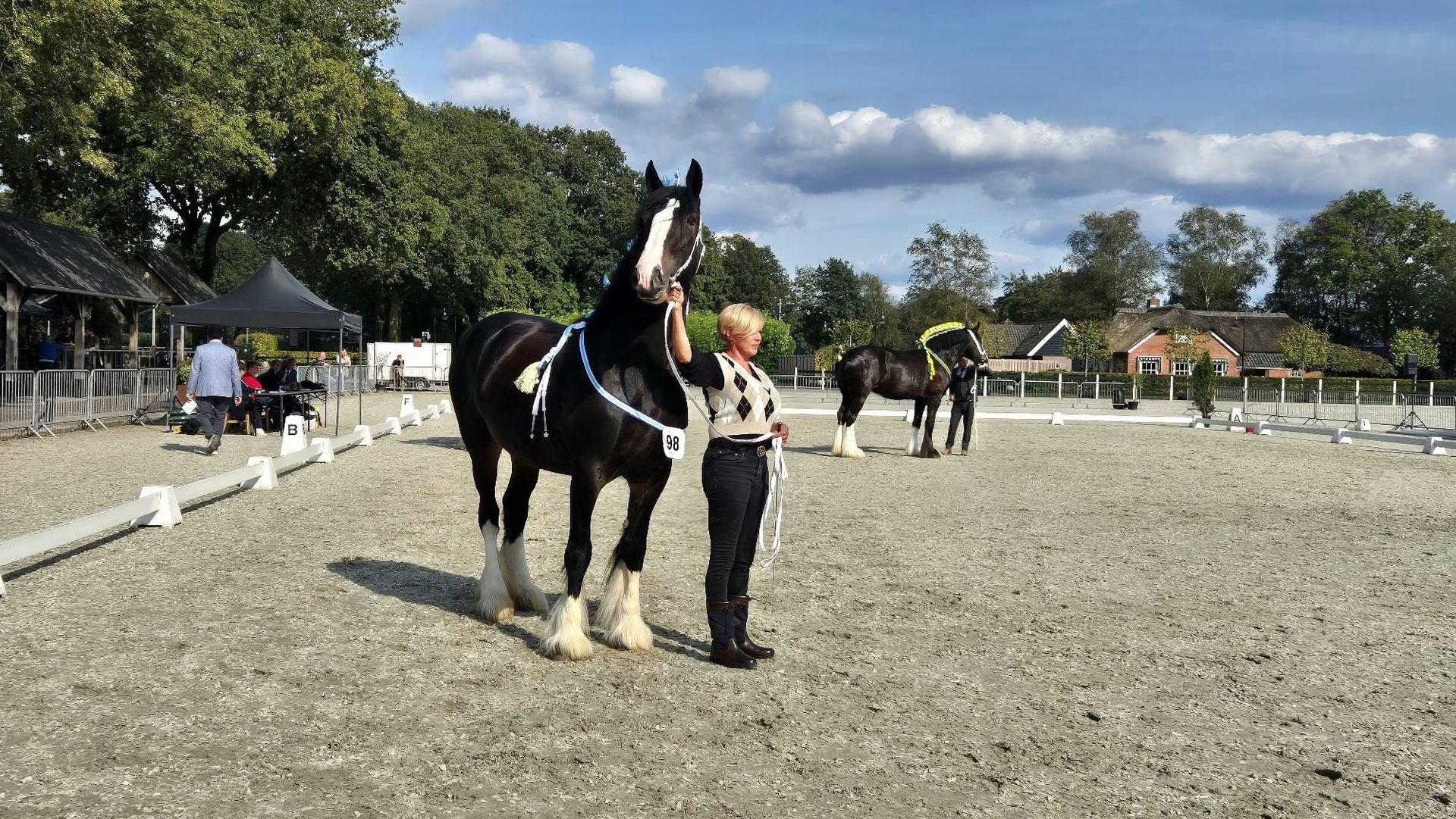 Een persoon staat naast een zwart-wit paard in een openluchtarena. Op de achtergrond zijn bomen en gebouwen te zien.