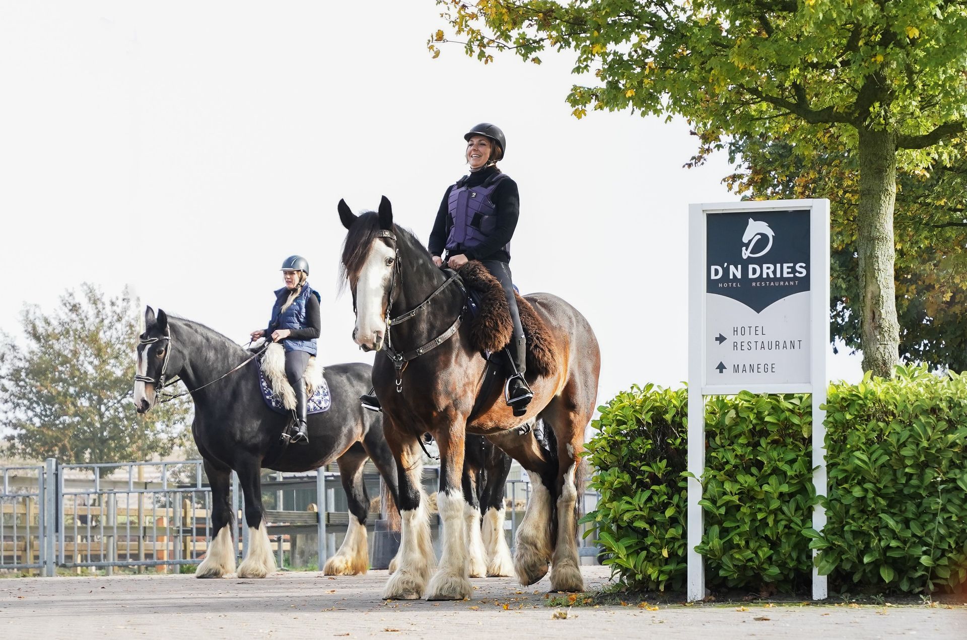 Twee mensen rijden op Shire-paarden in de buurt van een bord met de tekst DH Mill Farm.