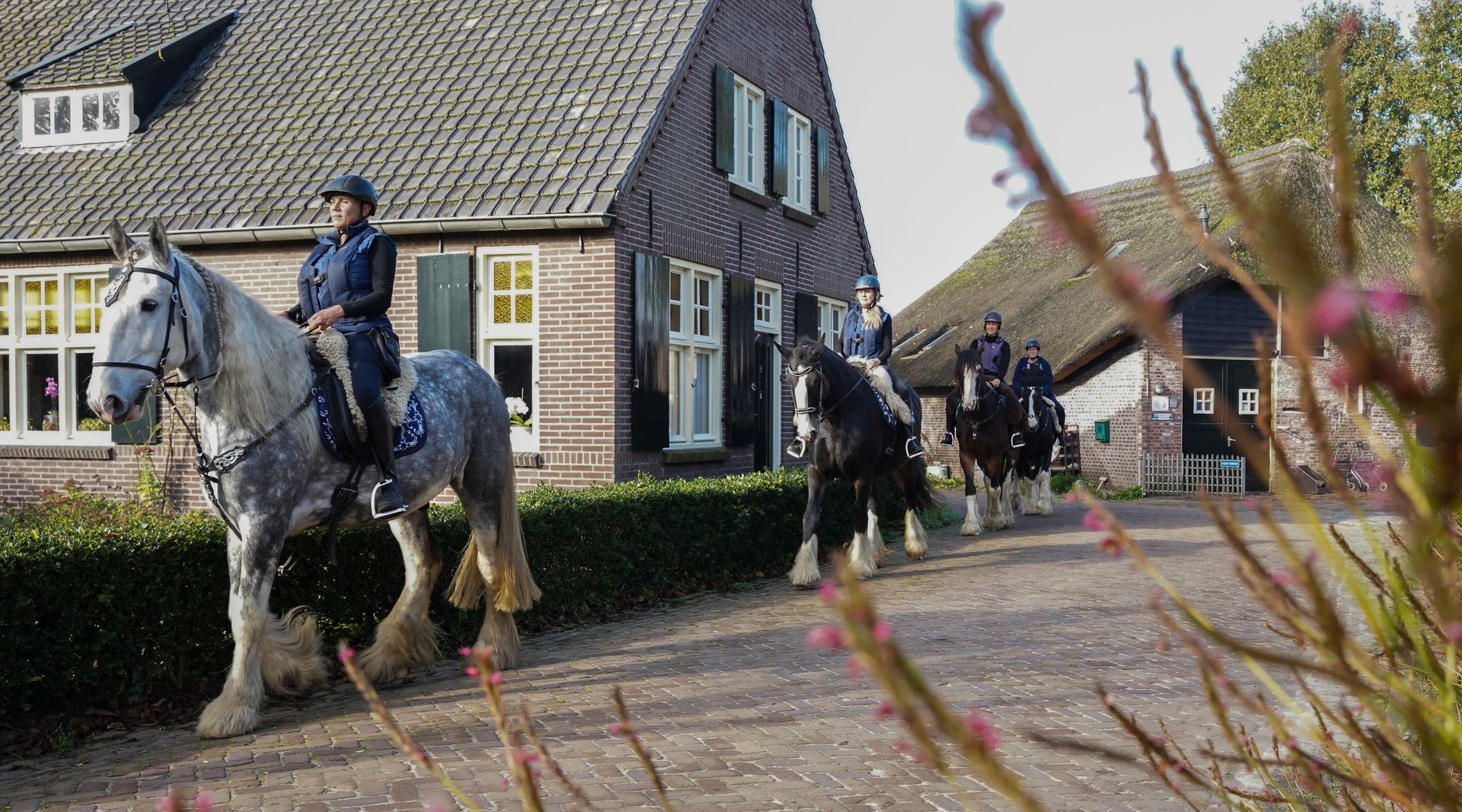 Paarden en ruiters voor een rustiek bakstenen gebouw. Grijze, zwarte en bruine paarden met ruiters op een pad.