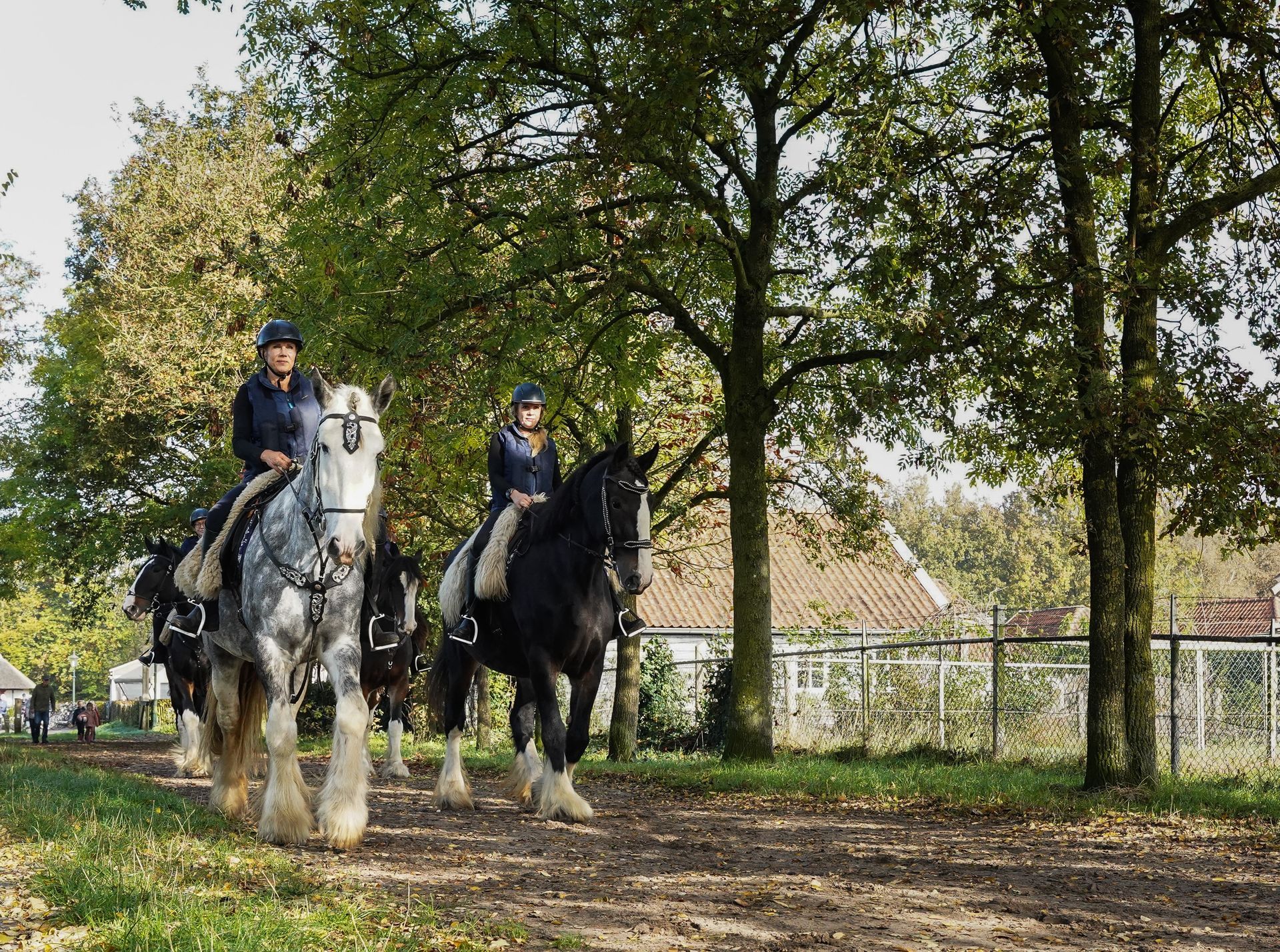 Twee mensen rijden te paard over een zandpad in een bosrijk gebied. De paarden hebben verschillende kleuren.