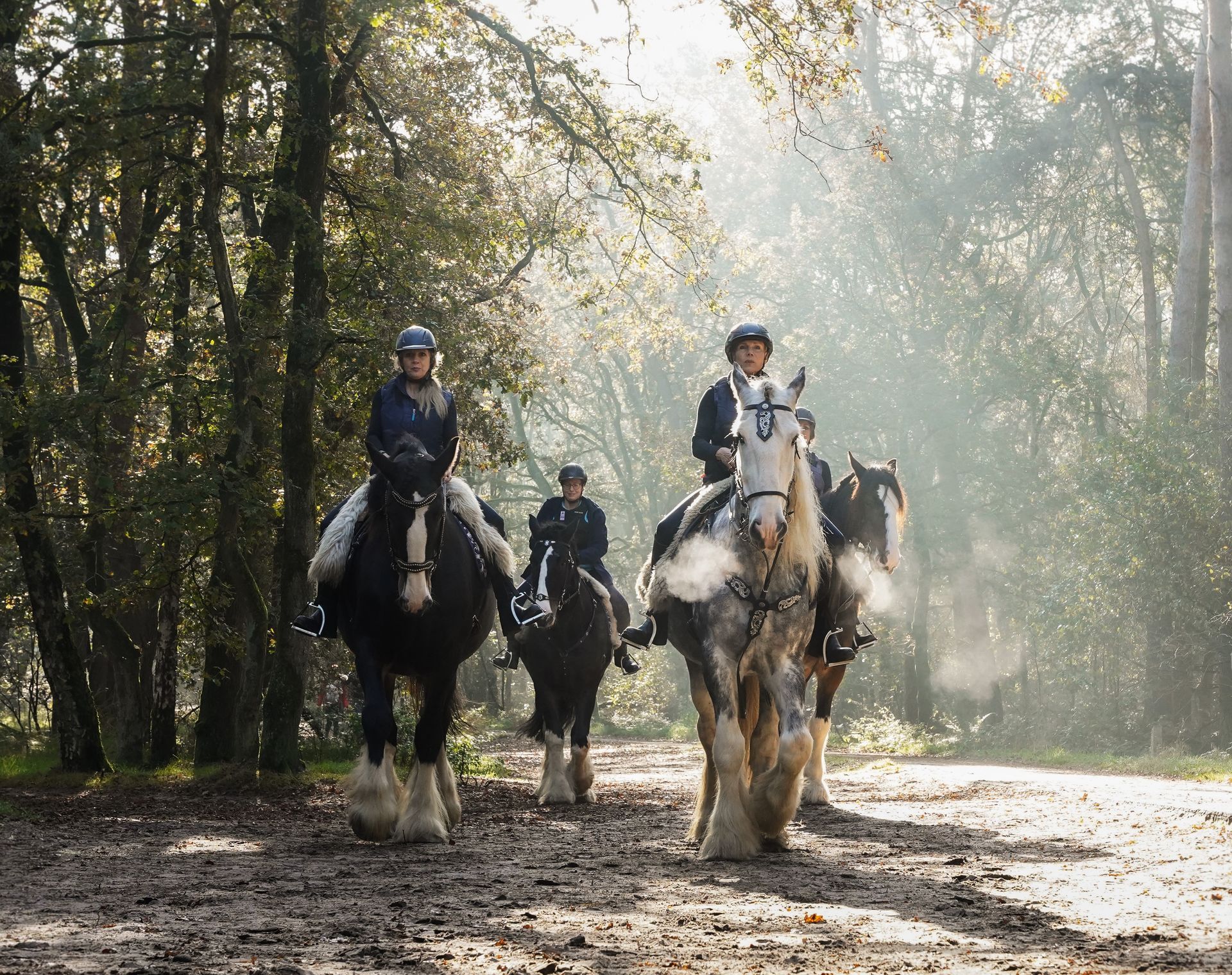 Twee mensen rijden te paard over een zandpad in een bosrijk gebied. De paarden hebben verschillende kleuren.