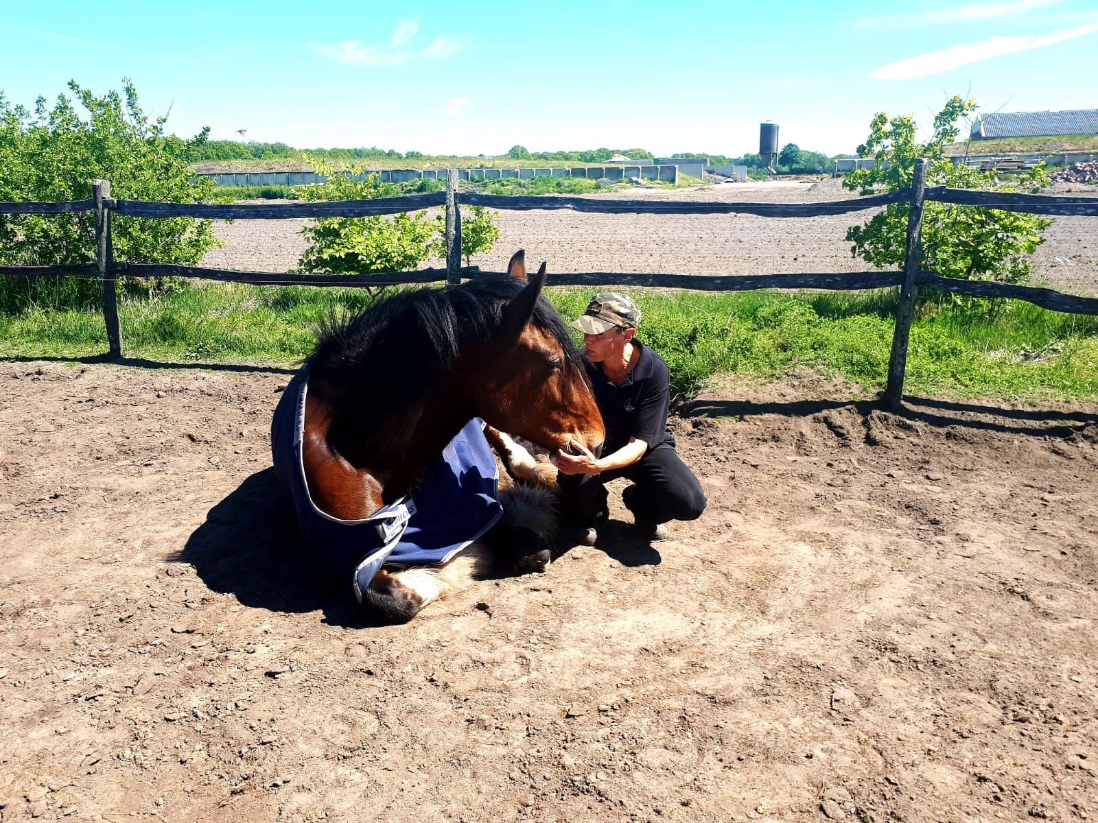 Een persoon knielt naast een bruin paard dat in de modder ligt; beiden kijken elkaar aan. Ze bevinden zich bij een hek in een zonnige buitenomgeving.