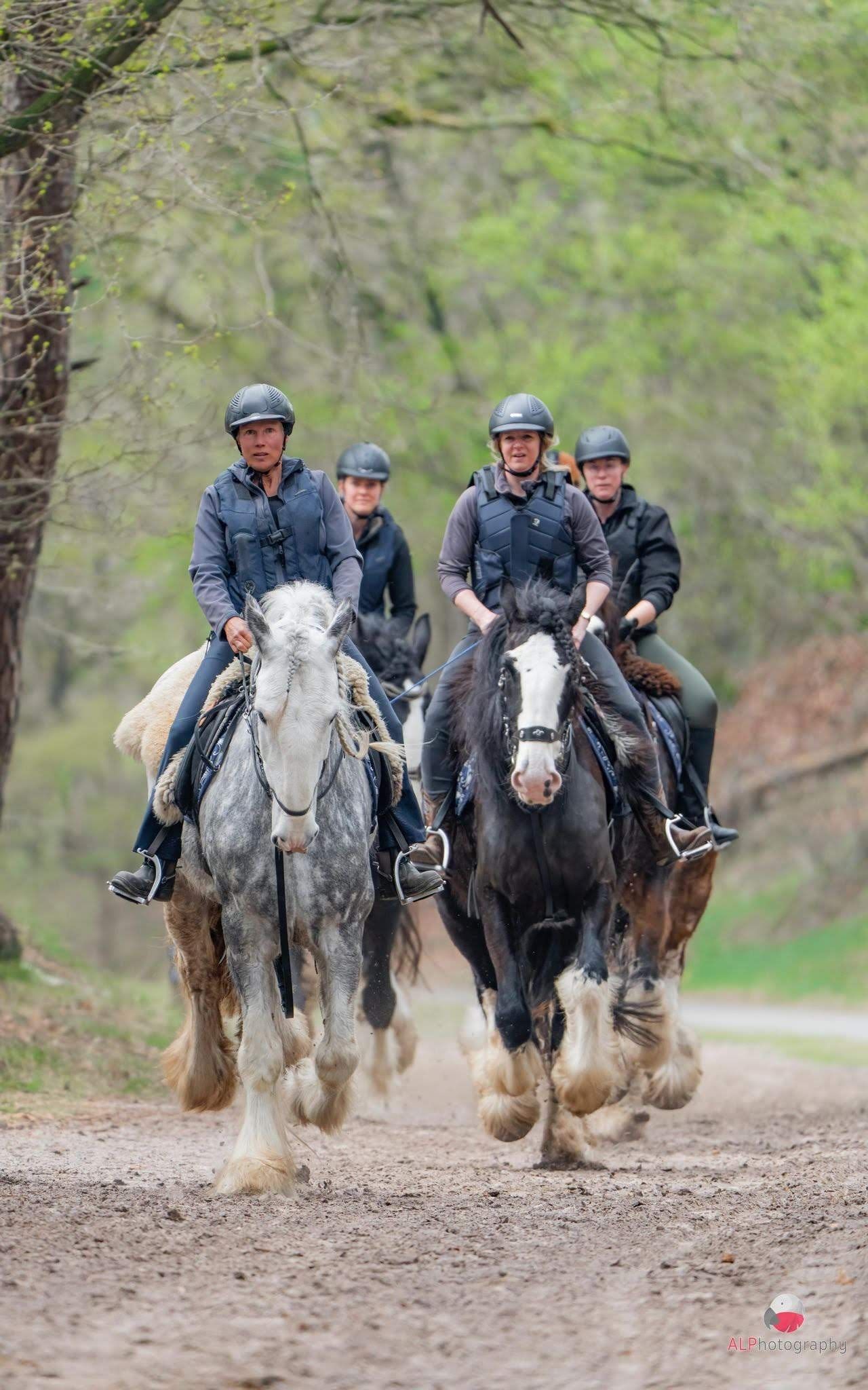 Vier mensen te paard rijden over een zandpad in een bos.