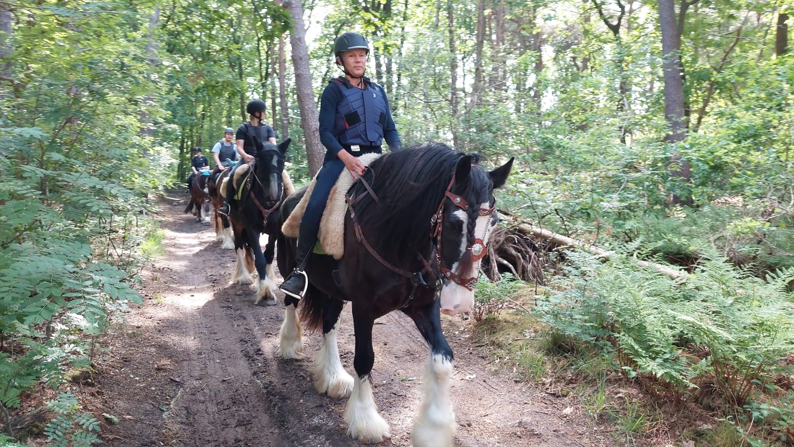 Mensen rijden te paard over een bospad; het leidende paard is zwart met witte aftekeningen op de benen en de ruiter draagt ​​een helm.