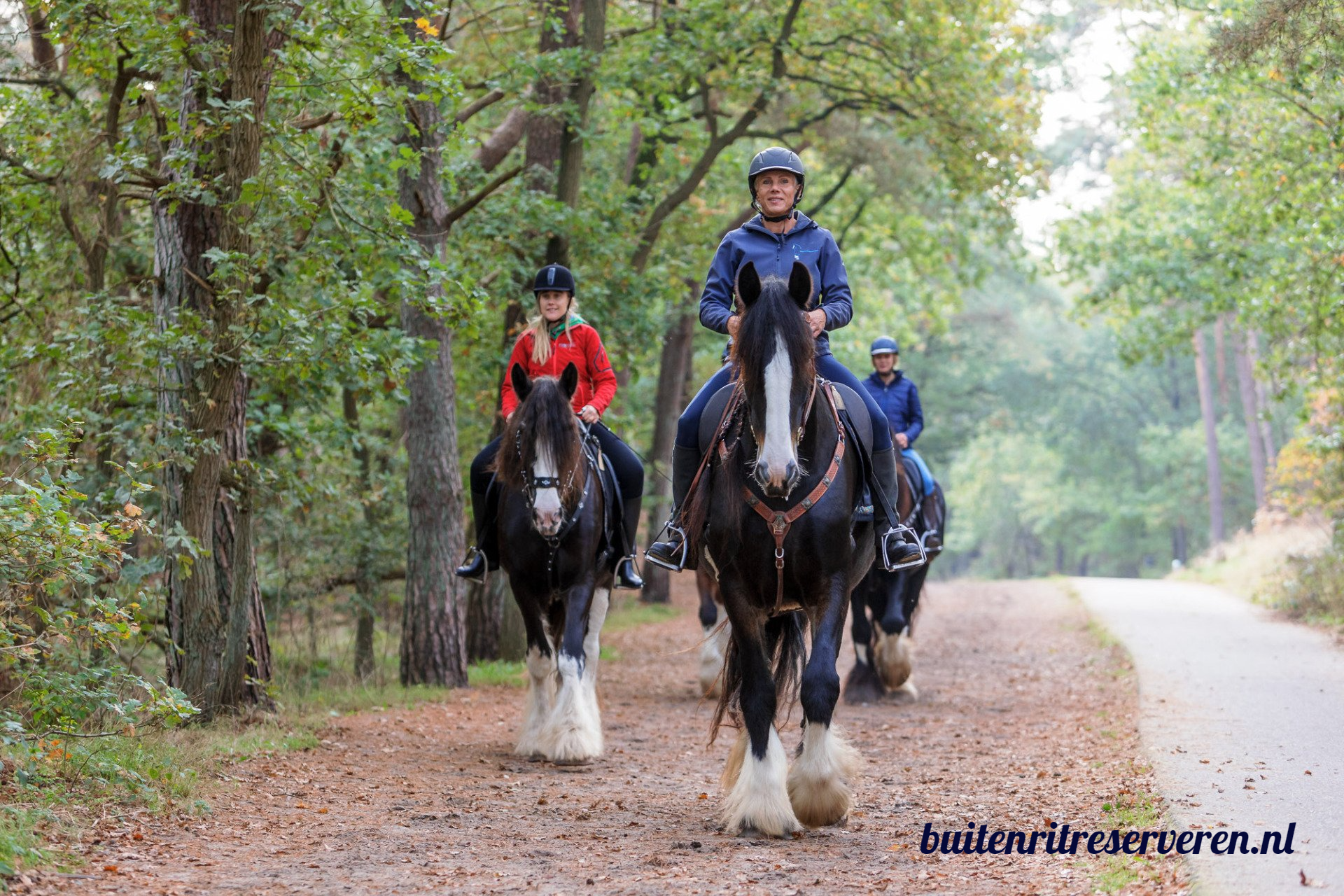 Drie ruiters op zwarte paarden met witte benen, op een pad in een bosrijk gebied.