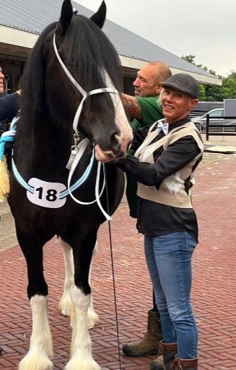 Een vrouw en een man staan ​​naast een zwart paard met witte aftekeningen en een borststuk met nummer 18.
