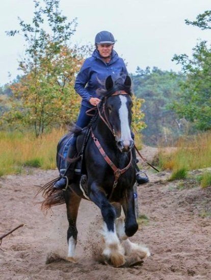 Een vrouw rijdt op een zwart-wit paard over een zandpad; op de achtergrond zijn herfstbomen te zien.