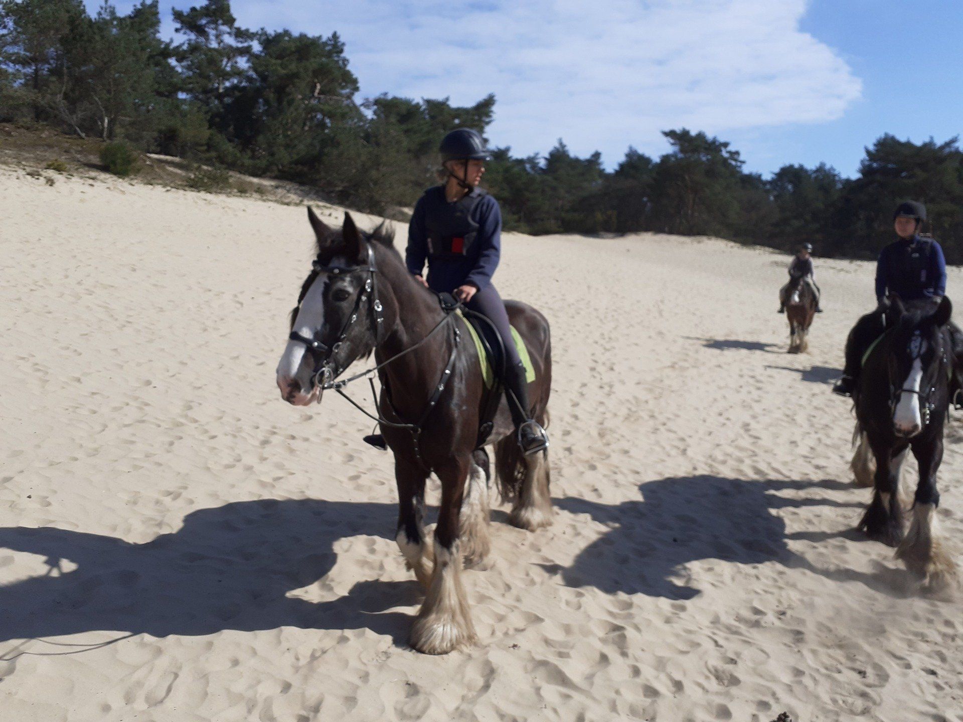 Mensen te paard op een zandpad met schaarse bomen en een blauwe lucht.