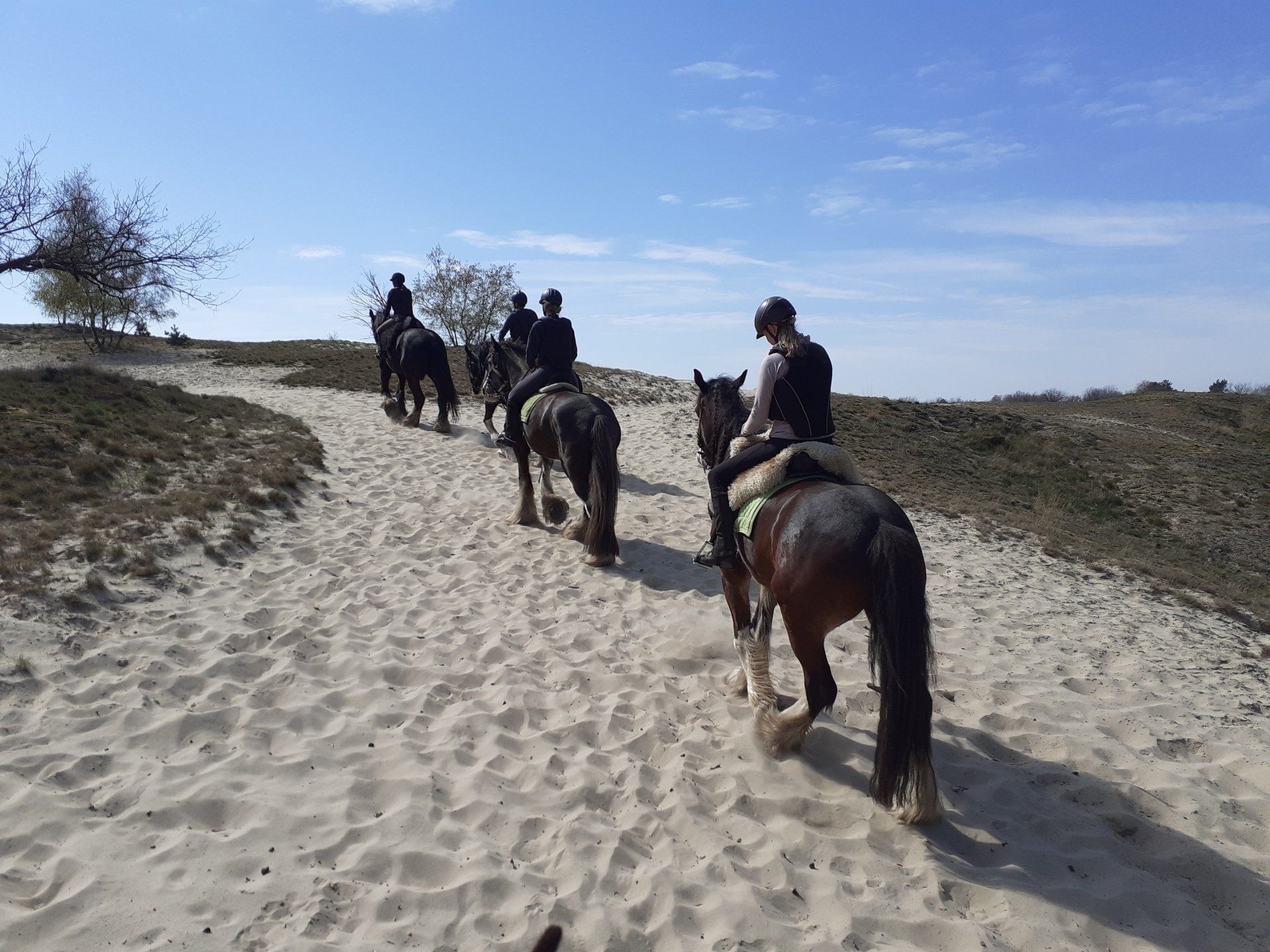Mensen te paard op een zandpad onder een helderblauwe hemel.
