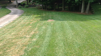 Brown Patch Treatment