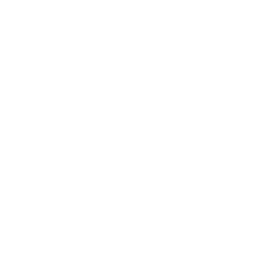 Web Narwhal website development - Logo