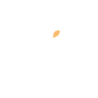 Wix
