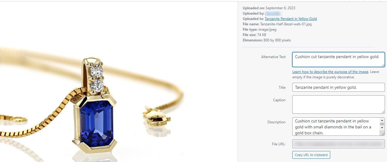 Sample of adding alt tag information to an image on WordPress.