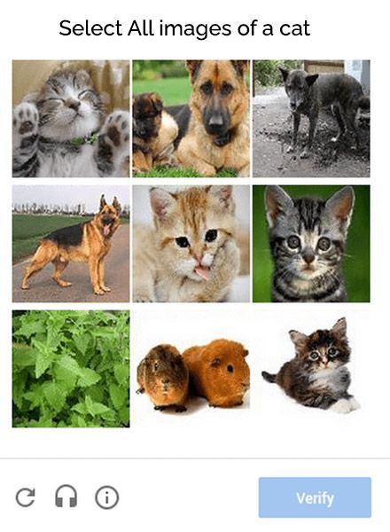 Level AA Accessible Captcha Example of choosing cats in an image. Level AA Accessible Captcha Example of choosing cats in an image.