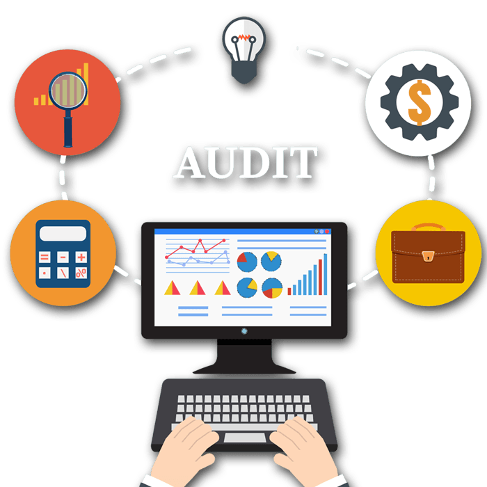Website Audits