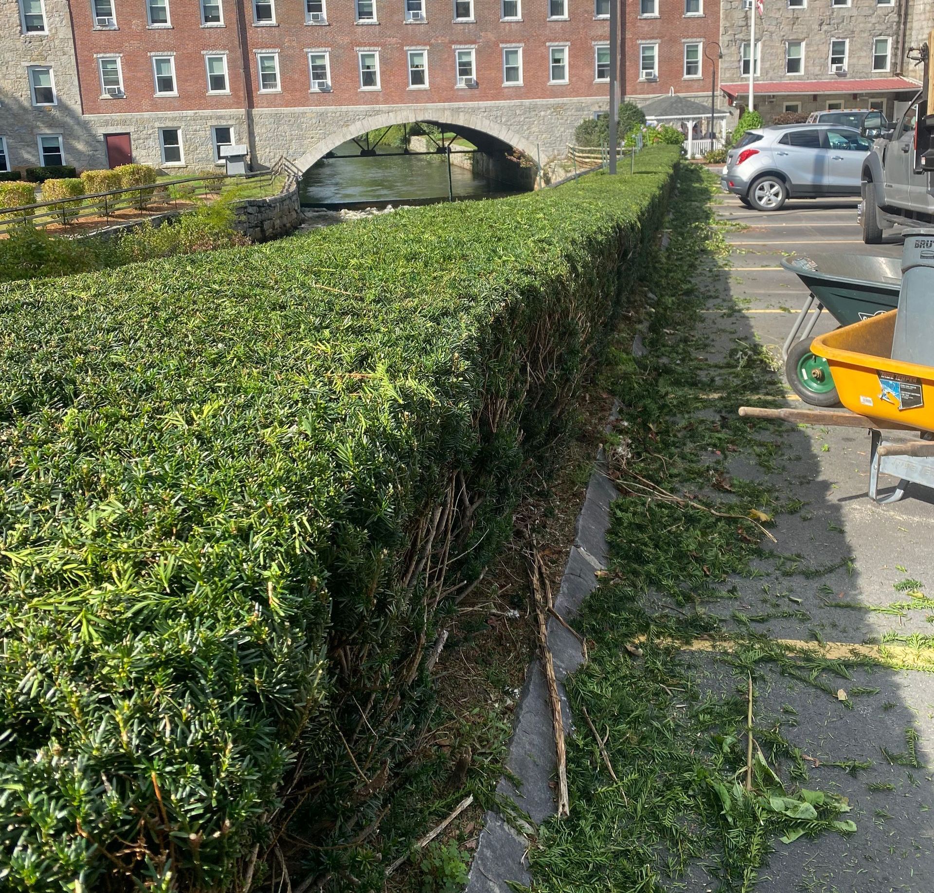 A hedge is being trimmed in a parking lot in front of a brick building.