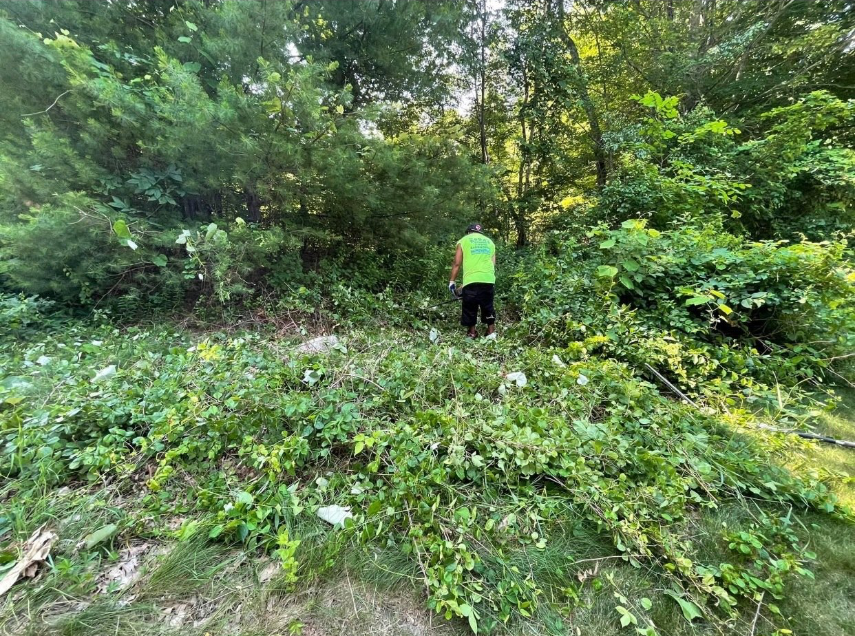 A man in a green shirt is standing in the middle of a forest.