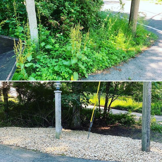A before and after picture of a lush green garden.