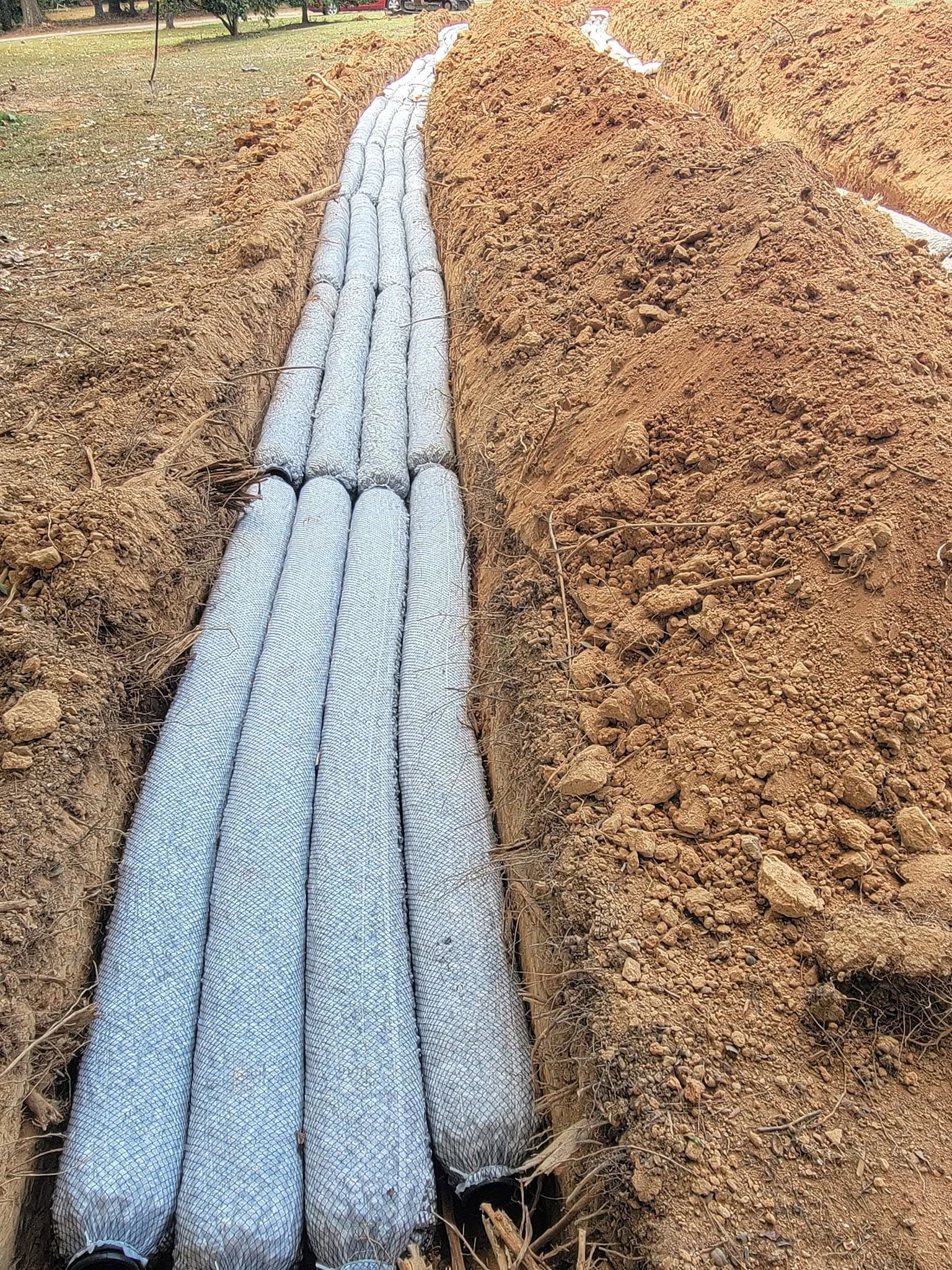 Blue landscape fabric strips laid in a field of dry brown mulch, creating a winding row.