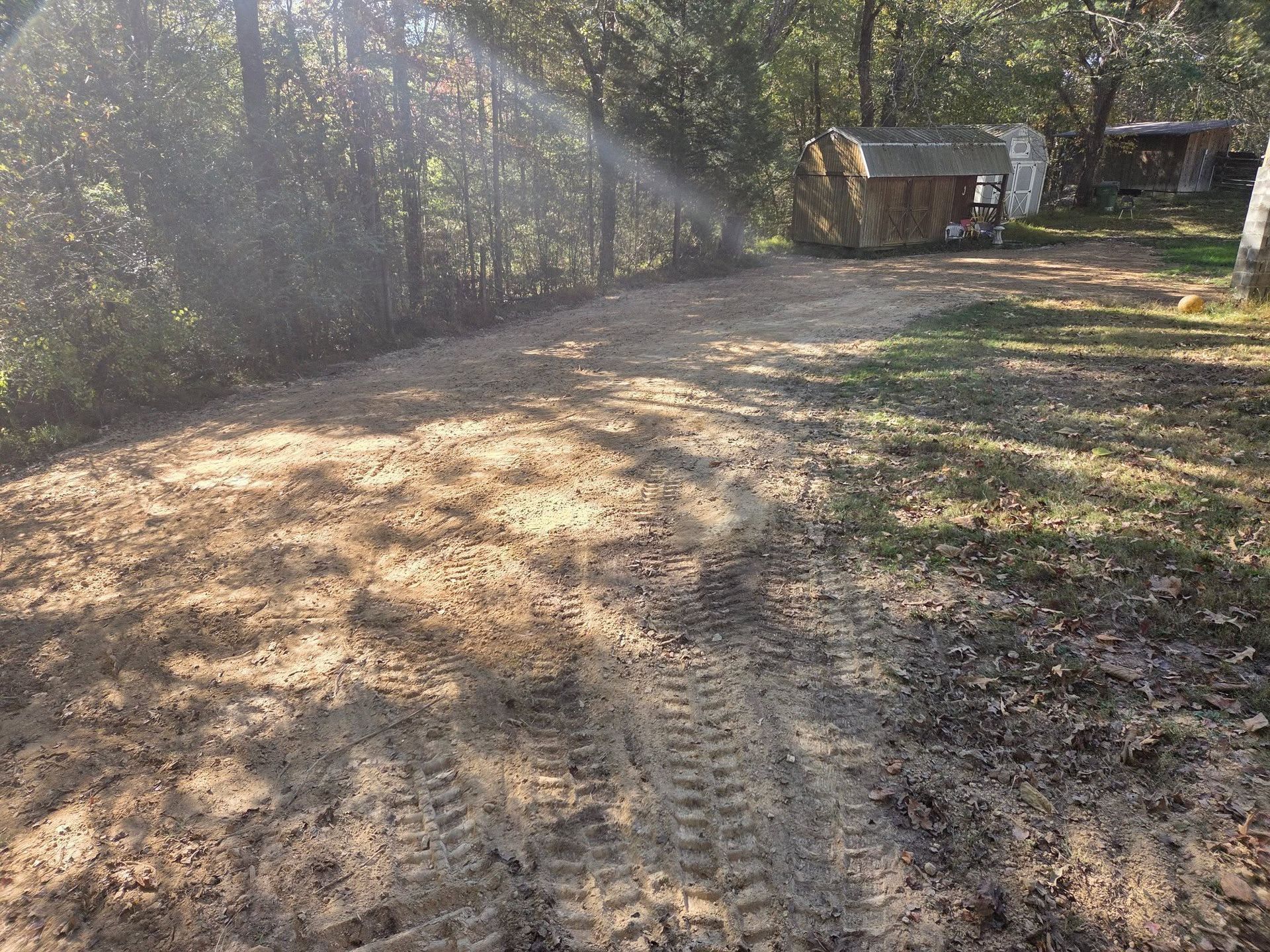 Sunlit dirt road through a wooded area, with tire tracks and a small shed in the distance