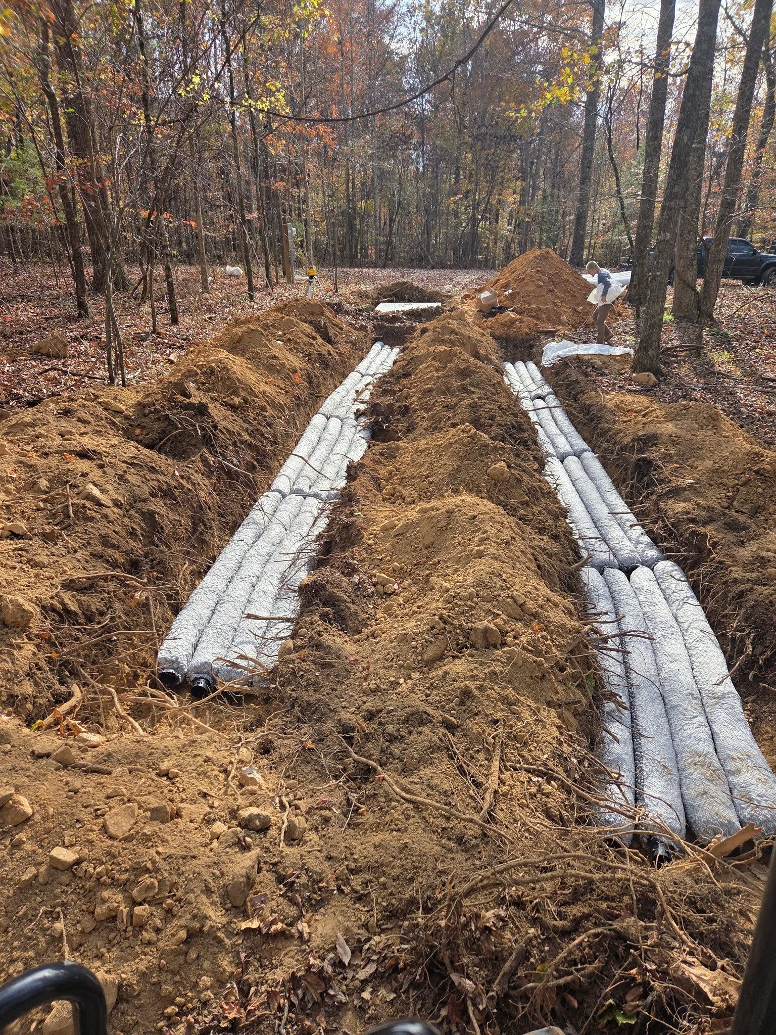 Raised garden beds covered with straw in a wooded yard in autumn