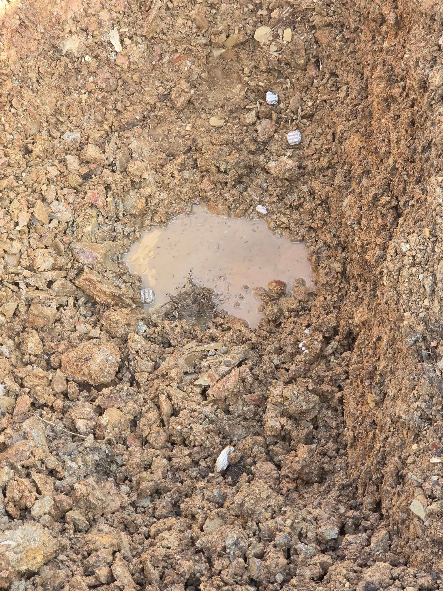 A small muddy puddle in brown gravel and dirt