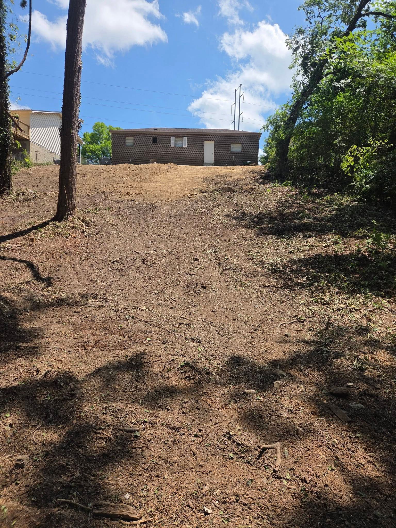 Dry, leaf-covered yard leading up a slope to a small house under a blue sky with trees on both sides