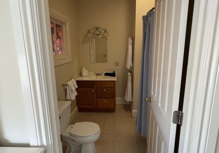 A bathroom with a toilet a sink and a shower curtain